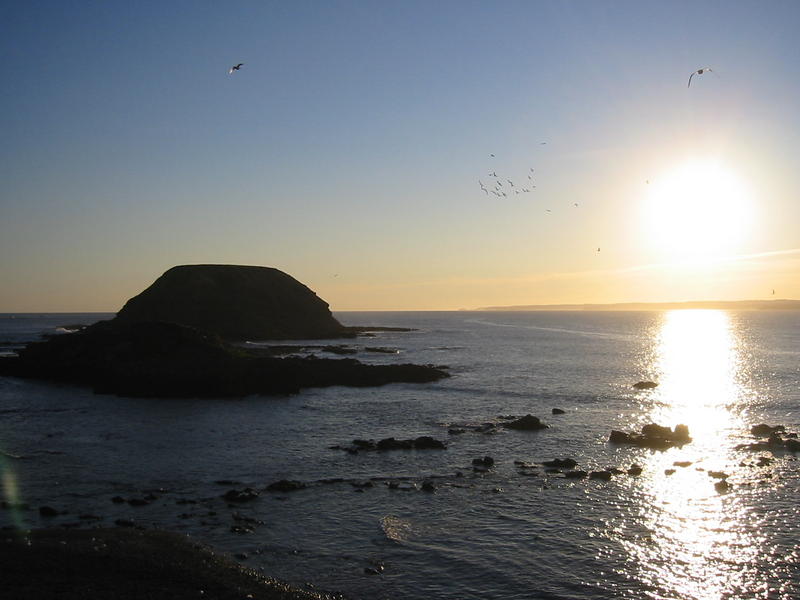 Seal Rock (en Phillip Island)