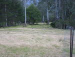 Varios canguros en Kangaroo Valley