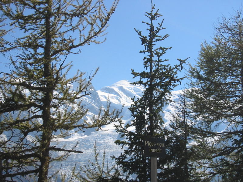Mont Blanc (pero con arboles en medio)
